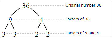 What is a factor? 