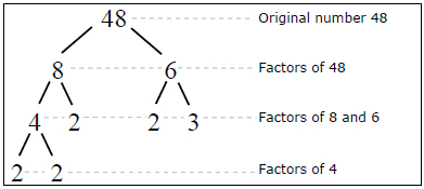 What is a factor? 