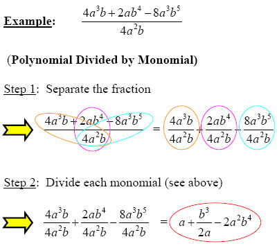 Polynomial Divided by Monomial