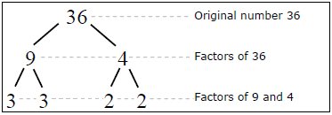 Factor tree of 48