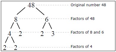 Factor tree of 48